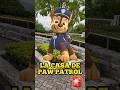WE FOUND THE PAW PATROL HOUSE Spiderman
