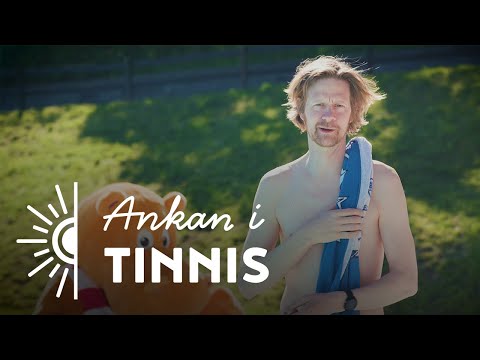 Ankan i Linköping - Tinnis