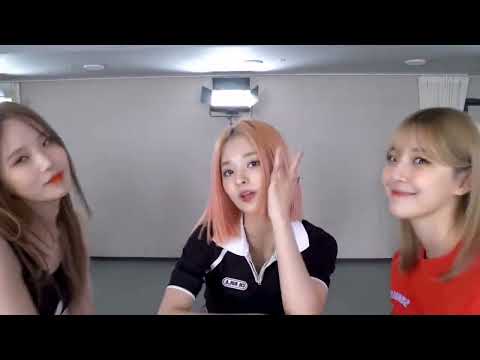 fromis_9 - Fun - Dance practice mirrored