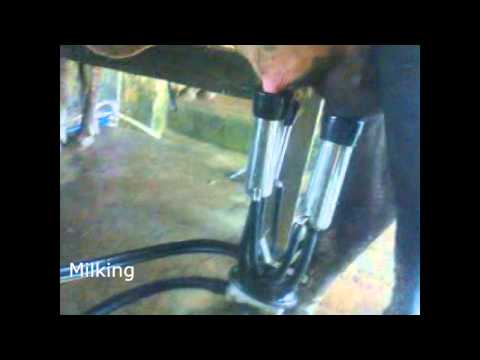 Dennis Valentine Actual Demo final