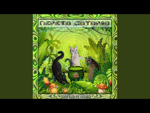 Thank You (Catar Records)