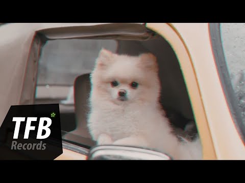 Osman Altun & Regard - Break My Heart (ft. Megan kashat)(Official Video)