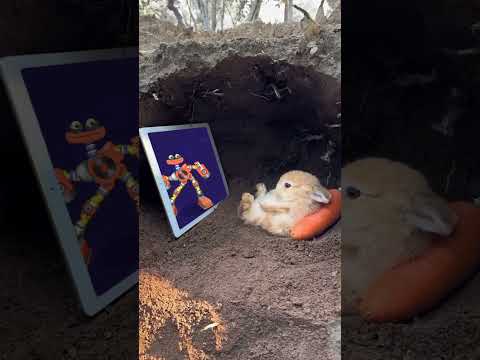 Cute Bunny Watching RARE WUBBOX on Ethereal Island | My Singing Monsters || MSM Wub