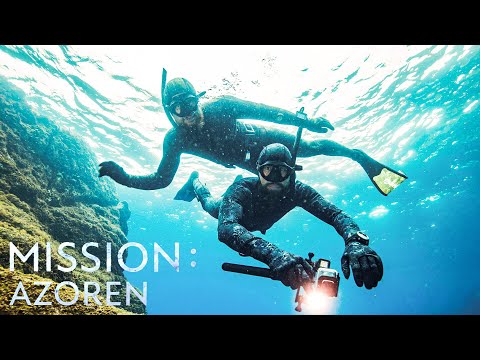 Video Thumbnail: Freediving mit @FritzMeinecke auf den Azoren | Robert Marc Lehmann