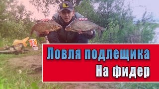 Рыбалка вязьма бозня