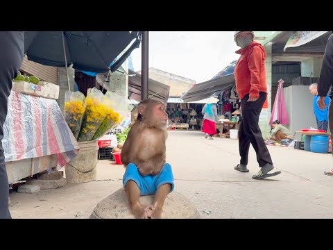 You Can’t Stop Smiling! CUTIS’ Market Trouble Cracks Everyone Up