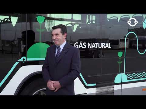 À boleia com... José Fernando, motorista STCP.