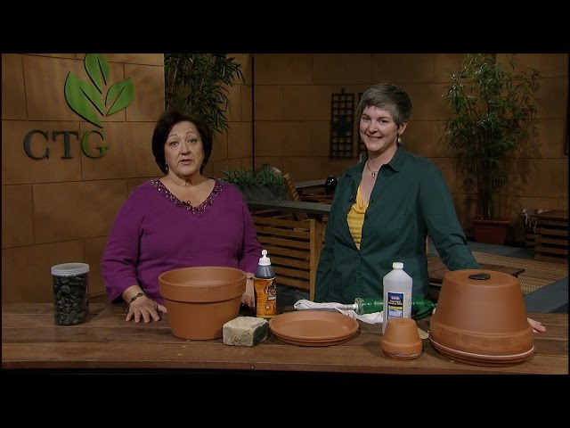 Video Pronunciation of Shirey in English