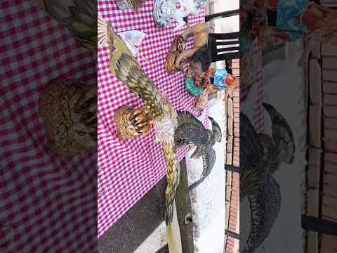 Mercado campesino Junín Cundinamarca #arte #junín #arteescenico