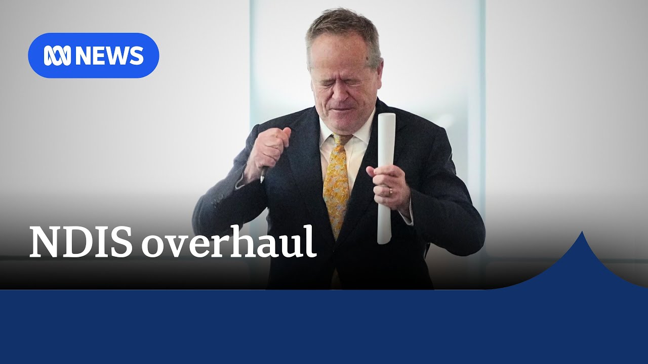 NDIS set for major overhaul | ABC News