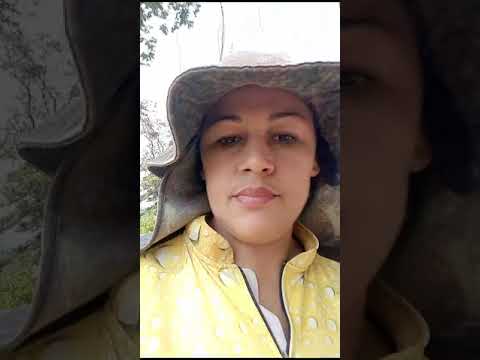 ORIENTAÇÕES DO TÉCNICO EM AGRICULTURA PARA OS PRODUTORES RURAIS