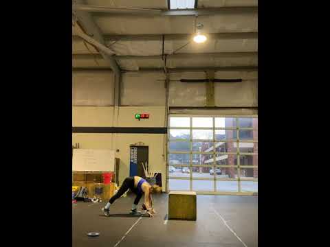 ttttd88 Ellie Tarence Hiller