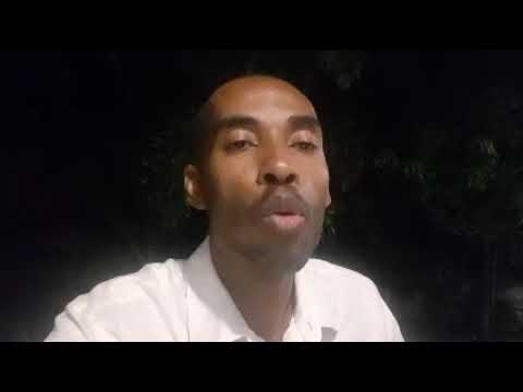 Les partis politiques et les systèmes de partis _2e partie