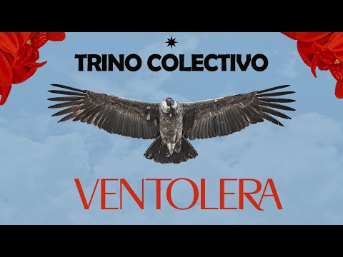 TRINO COLECTIVO preview thumbnail