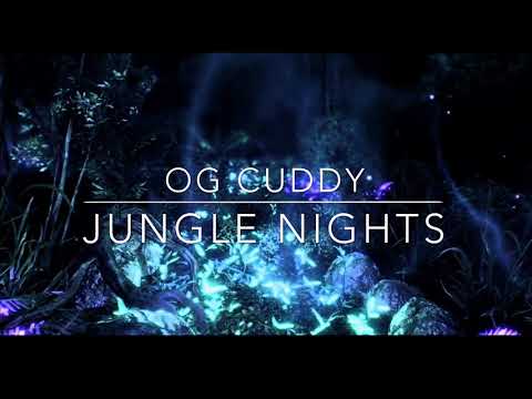 OG CUDDY X JUNGLE NIGHTS