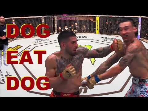 Dog eat dog at UFC 308 (Heavy Hands #546)