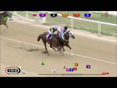 Great Rock - Busan Racecourse - June 22, 2018