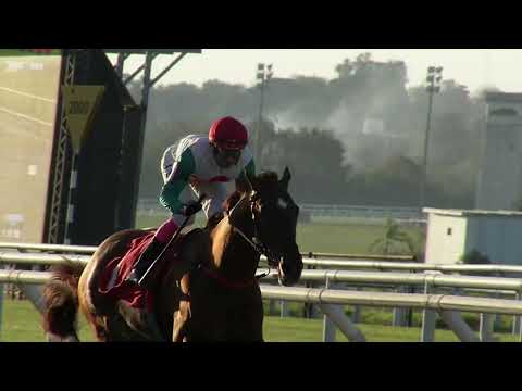 230514 c08 - MARISCAL MP - HIPODROMO DE MARONAS