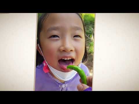 2021. 캥마쿵쿵어린이집 활동영상 / 부산 공동육아 어린이집 / 숲어린이집 / 친환경어린이집 / 자연어린이집