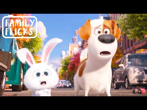 When the Owners Leave… The Pets Go Wild! | The Secret Life of Pets | Family Flicks