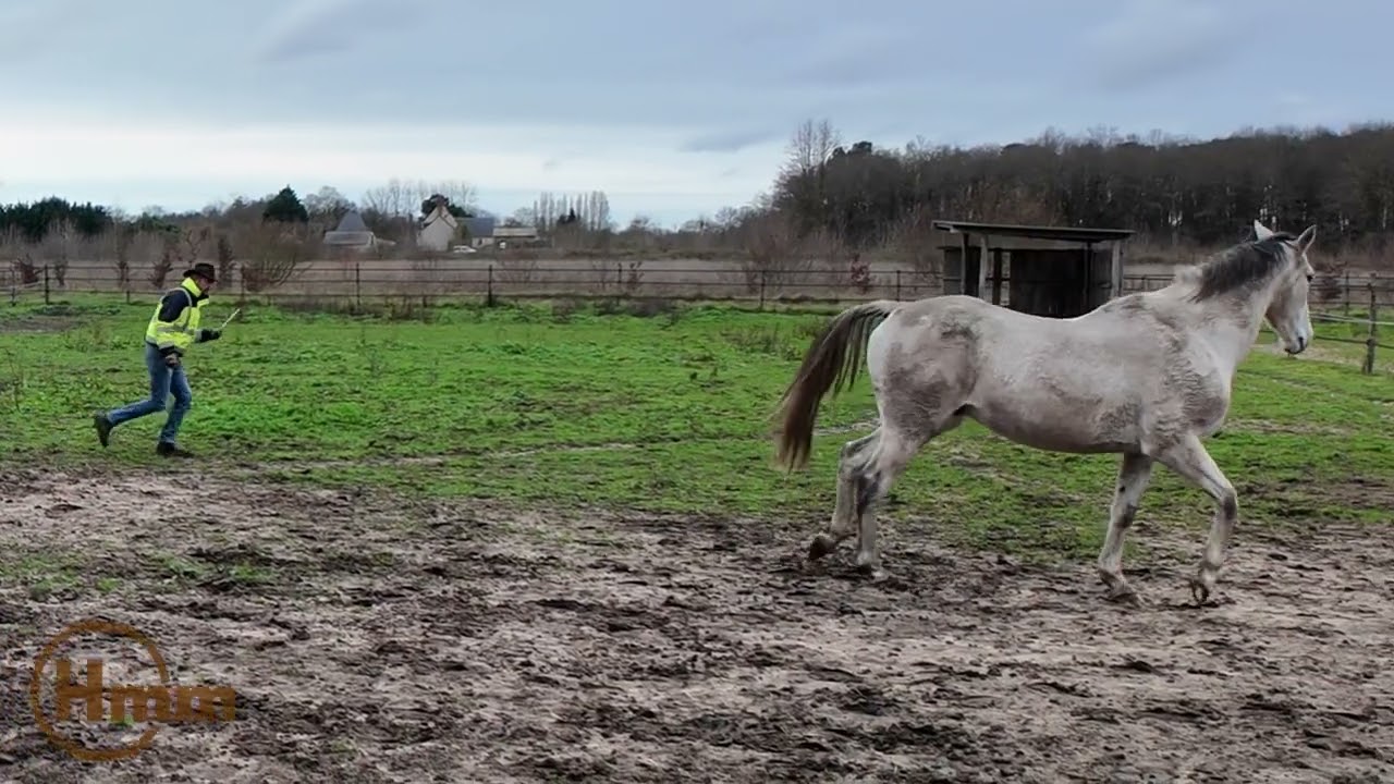 Travail a pieds avec Cyranix