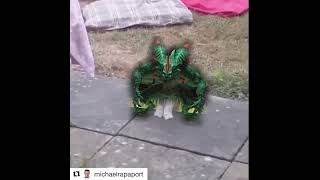 That's a weird looking carbuncle