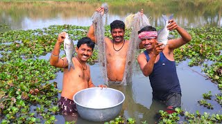 Village pond net fishing and cooking | পুকুরে জাল দিয়ে মাছ ধরে রান্না করে খাওয়া | cooking vlog