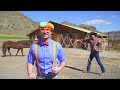 Blippi Learns About Horses Animals For Kids Educational Videos For Toddlers