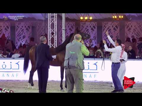 N.262 MNAWER ATHBAH - Asharqia Classic 2018