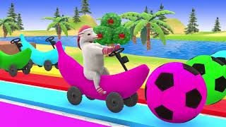 Video thumbnail image