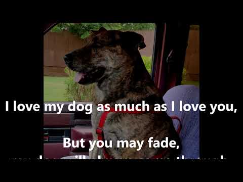 I Love My Dog CAT STEVENS (with lyrics)