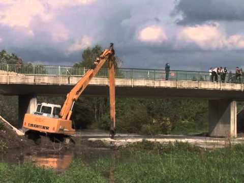 The race to save the Danube's ecosystem