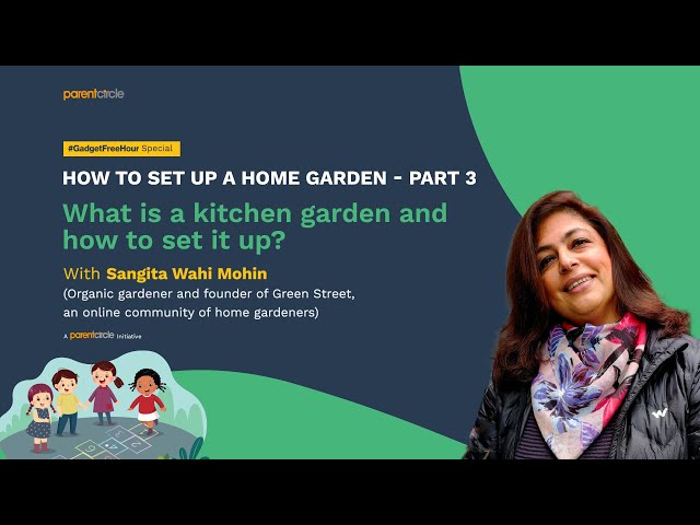 How to set up a home garden – Part 3: Importance of kitchen gardening