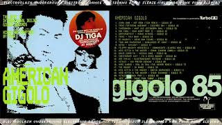 AMERICAN GIGOLO NON-STOP ELECTROCLASH ELECTRO TECH HOUSE DANCE 🟢 DJ TIGA Electro Disco Italo NRG Mix