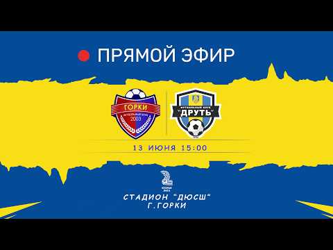 Чемпионат Беларуси по футболу | Вторая лига | Могилевская область | ФК Горки - ФК Друть