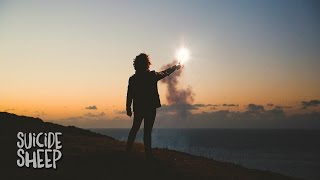 Meadowlark - Headlights