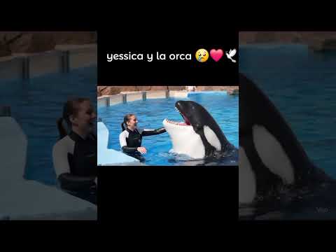 yessica y la orca un día antes de la tragedia#orcas#yessica#emocional