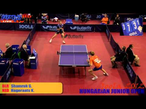 Joola Hungarian 2012 - Boys Singles Shamruk G. - Hageraats K.