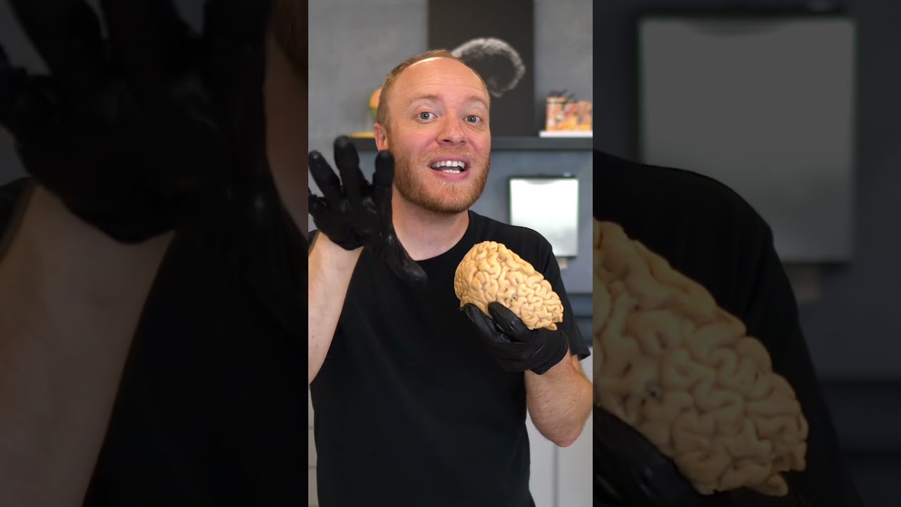 You’re Just a Brain!!