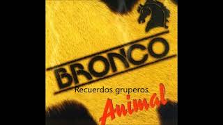 BRONCO &quot;ANIMAL&quot; MIX