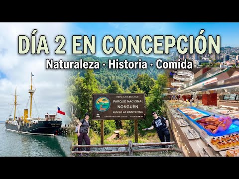 DÍA 2 en Concepción 🇨🇱 | Parque Nacional Nonguén, Huáscar y Buffet KingWok