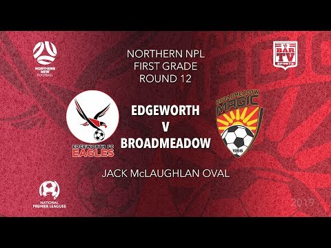 2019 NPL Northern NSW u20s and 1st Grade - Round 12 - Edgeworth Eagles v Broadmeadow Magic