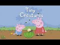 Tiny Creatures Peppa Pig READ ALOUD By 1morestory Com