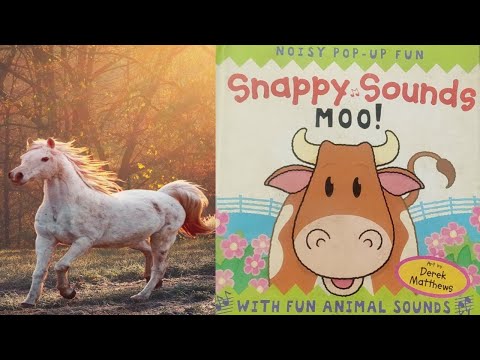 Snappy Sounds 🔊 Guess the sound Challenge 🔊 of Animals🐔🐶|| जानवरों🐑🐴 की आवाज़ 🔉निकालने वाली किताब