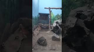 Download lagu Aashiq hun mai katil bhi hum #shorts #viralvideo #motivation mp3 Download lagu Aashiq hun mai katil bhi hum #shorts #viralvideo #motivation mp3