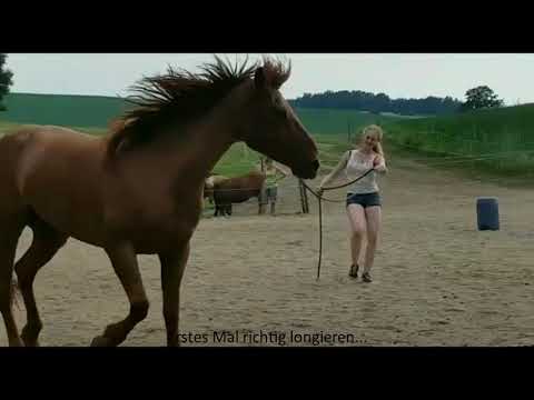 MUSTANG MAKEOVER 2018 Team Jessica (TAG 3935) - Update 5