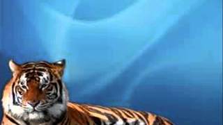 AARON NEVILLE   ... BEEN SO WRONG ....