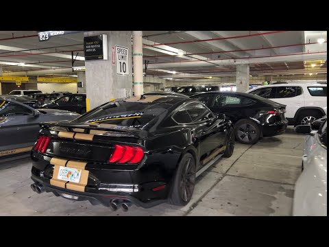 Hertz レンタカー - マイアミ空港 MIA - 2023 年 9 月 |マスタング シェルビー GT 500