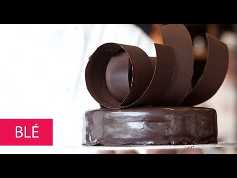 BLÉ - GREECE, THESSALONIKI