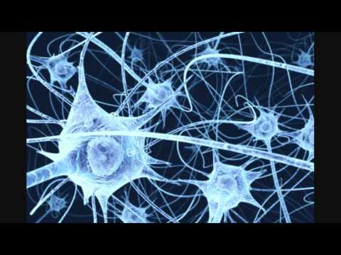 Randomform  _  Cyanfold (Test 0408)